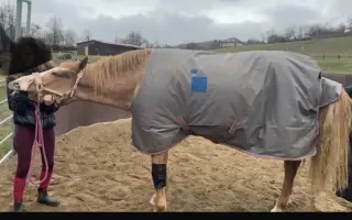 Pomozme Kess po těžké akutní operaci