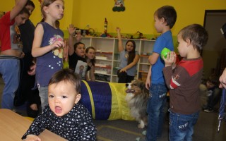 Canisterapie CANTES v krajích ČR jako sociální rehabilitace