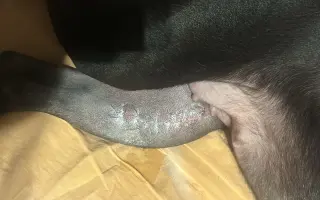 (⁠✿⁠ ⁠♡⁠‿⁠♡⁠)  Pro Koru, aby mohla opět běhat