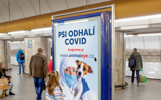 Podpořme výcvik psů k detekci COVID-19 a dalších onemocnění