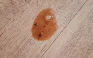 9 nalezených Lásek