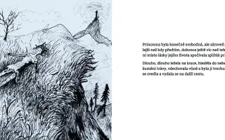 Princezna a slunce svit - vydej s námi knihu o uzdravování z toxických vztahů.