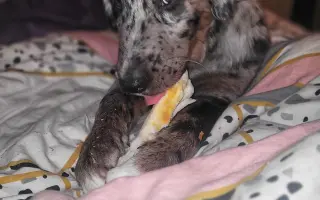 Pomoc pro Rozárku ❤️