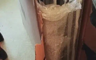 Pomohli jste kocourovi k větší voliéře a léčbě