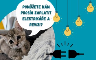 Elektrikář pro kočky aneb topíme, svítíme