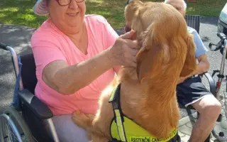 Pomozte s vybavením pro Nadační fond Canisterapie