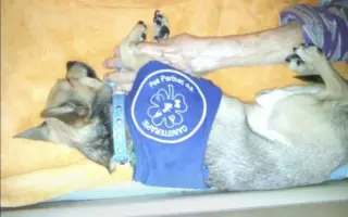 Pomozme zachovat Dvůr poslední šance