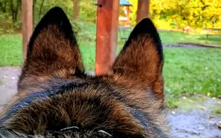 Léčba, která nekončí - Fůrie