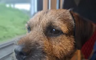 Pomozte Vojtíškovi s ADHD k vysněné IN Kartě