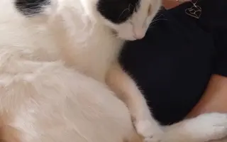 Pomoc Mimi-Míně porazit smrtelnou nemoc