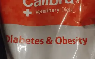 Sbírka na veterinární péči a diabetickou dietu pro Dixinku