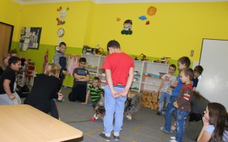 Canisterapie CANTES v krajích ČR jako sociální rehabilitace