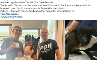 Ari přežila poušť. Teď ji ničí bolest...