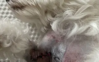 Šance na klidnější život pro Katku