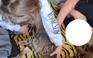 9 nalezených Lásek