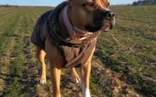 ...aby se Roxy mohla postavit bezbolestně na nohy