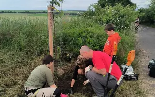 Pomozte stromům růst