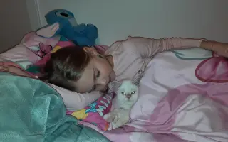 Pomůžete zachránit Nelince kočičí kamarádku? Hrajeme o čas.