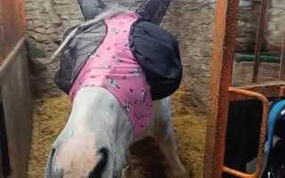 Pomozme Moonymu zachránit zrak