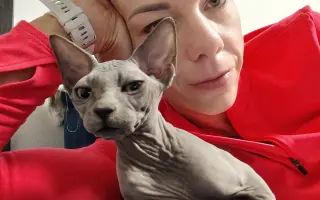 Pomoc pro našeho Joa porazit zákeřnou FIP