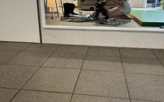 Dobbyho invalidní vozíček a rehabilitace