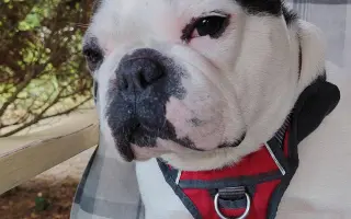 Zachráňte Marilyn bojující s rakovinou