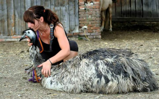 Pomoc statku ve finanční tísni s více jak 100 zvířaty