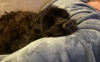 Pomohli jste Medvídkovi Pú k lepšímu zraku