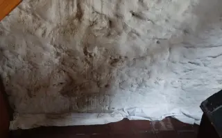 Zachraňme střechu Nadace Josefa Plívy
