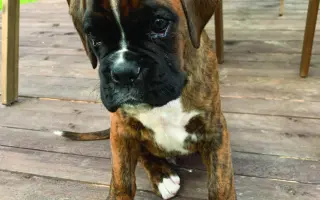 Pomozte Baronovi vyhrát boj s rakovinou