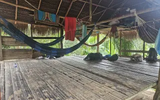 Pomozte kmeni huni kuin postavit se na vlastní nohy