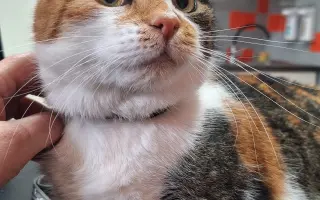 9 nalezených Lásek