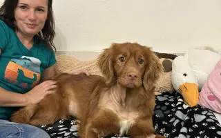 Naděje pro Aini - malá tollerka s velkým srdcem čeká na svou šanci uzdravit se.