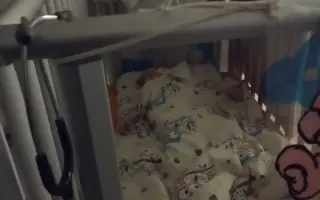 Auto pro Isabellku a Jessinku, které mají diabetes typu 1.