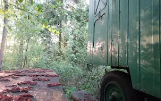 Kapela LakyMari v albu "Kind (of) mind" dává hlas zvířatům, podpořte jeho vznik.