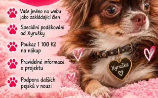 Pojďte s Xyrou pomáhat pejskům, kteří to potřebují