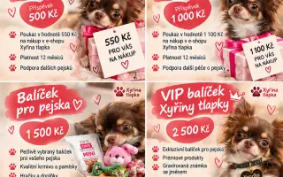 Pojďte s Xyrou pomáhat pejskům, kteří to potřebují