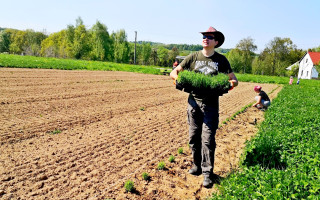 Pomozte s rozvojem levandulové farmy - odpočinkové zóny nejen pro rodiny a děti