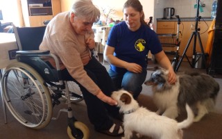 Canisterapie CANTES v krajích ČR jako sociální rehabilitace
