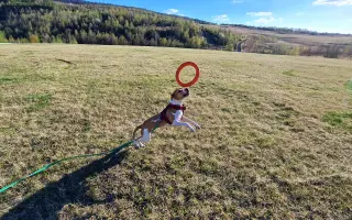Pomozte Mionelce žít zase plnohodnotný život