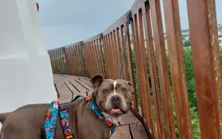 Pomozme Ele opět poznávat svět