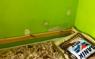 Barvy, které dětem vrátí pocit domova