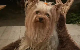 Pomozte Maxíkovi v boji s lymfomem