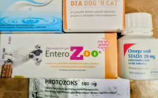 POMOC PRO FOXÍČKA, ASPENA A TAFFY-JACKA