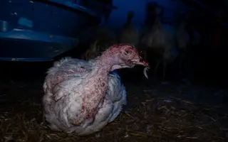 Natočte s námi nový Dokument