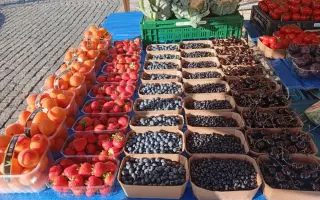 Podpořte lokální stánky s ovocem a zeleninou v Plzni!