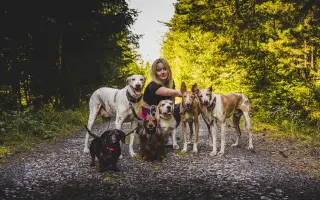 Podpořte péči o pejsky v psím hospici Andělská náruč, z.s.