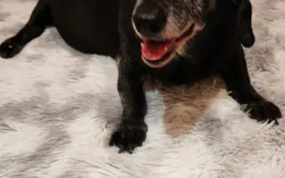 Pomoc na léčbu pro Artíka