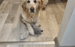 Za každé další ráno s Daisy 🐾
