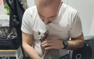 Pomoc pro našeho Joa porazit zákeřnou FIP